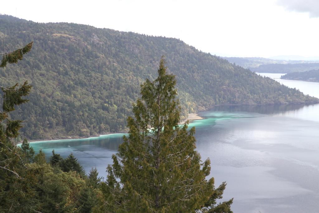 Moon Water Lodge Malahat Chambre photo